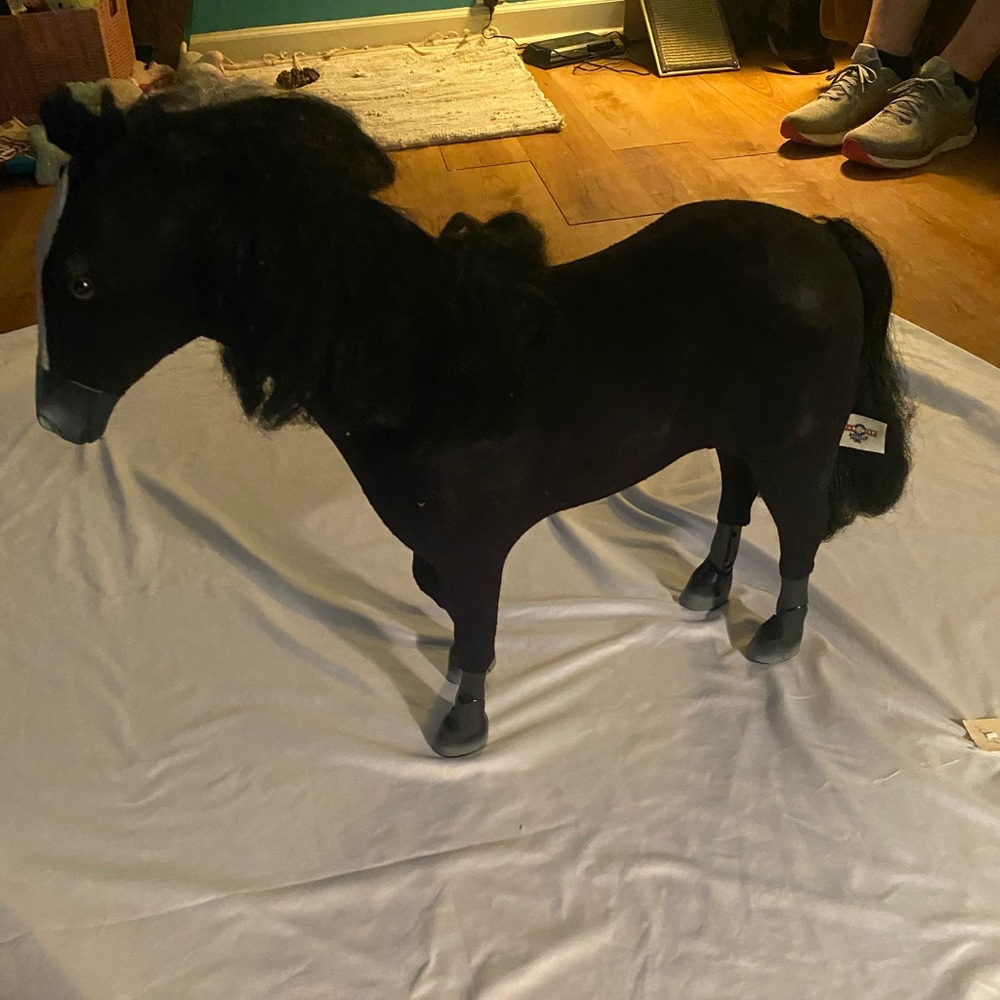 19 In tall paradise kid black stallion horse adjustable legs and feet